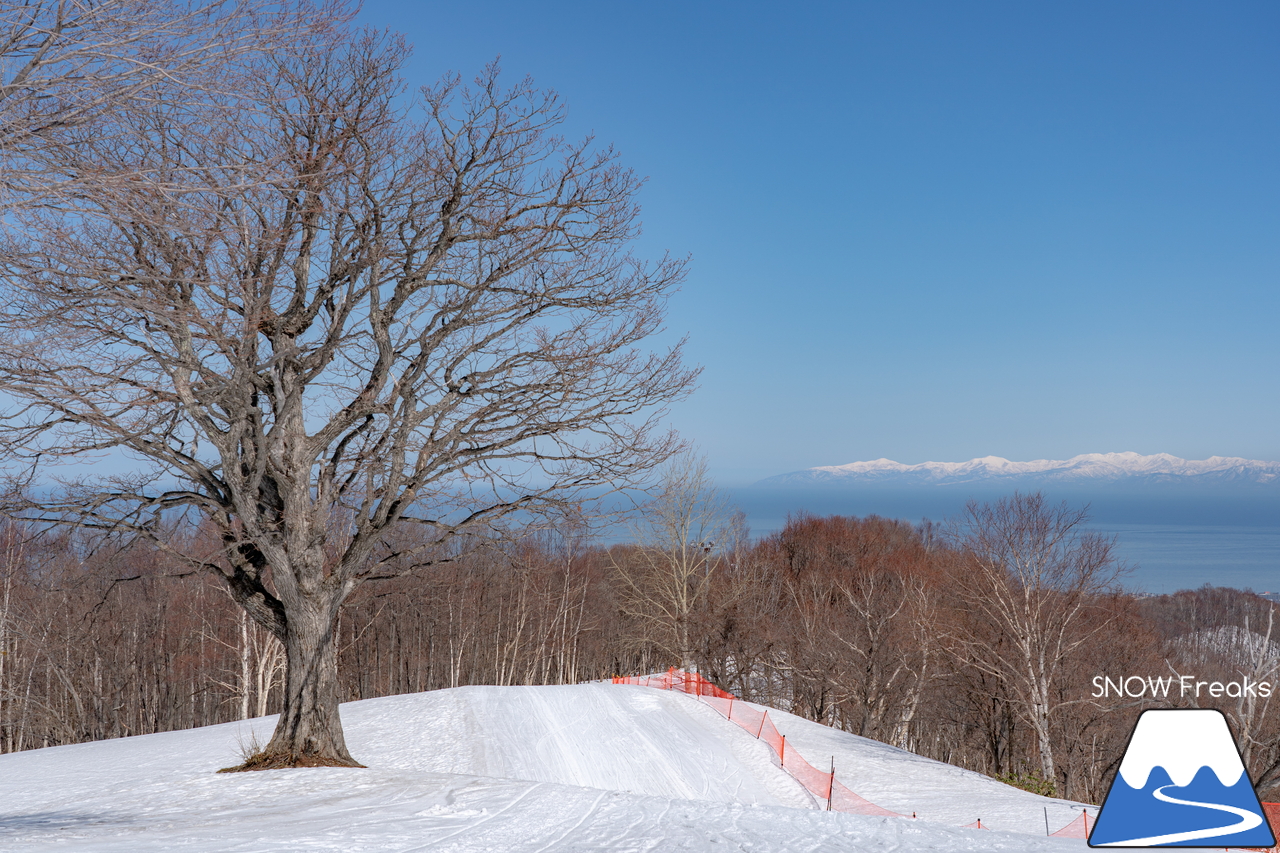 朝里川温泉スキー場｜豊富な残雪のおかげで、4月10日（日）まで営業延長中！日本海を眺めながら、のんびり春スキー＆スノーボードを楽しみましょう♪